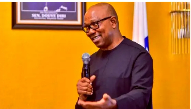 Peter Obi plan to stage his attempted assassination