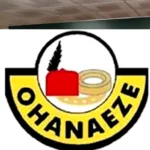 2023: The S-East will produce the next President —Ohanaeze