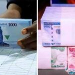 New naira notes designed to stain white surfaces – Printing and Minting