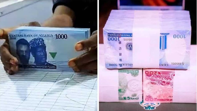 new naira notes